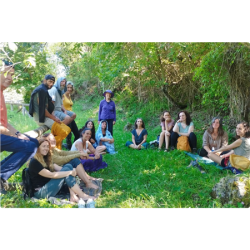Sensed Ecology Year 1