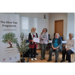The Olive Tree Programme: 